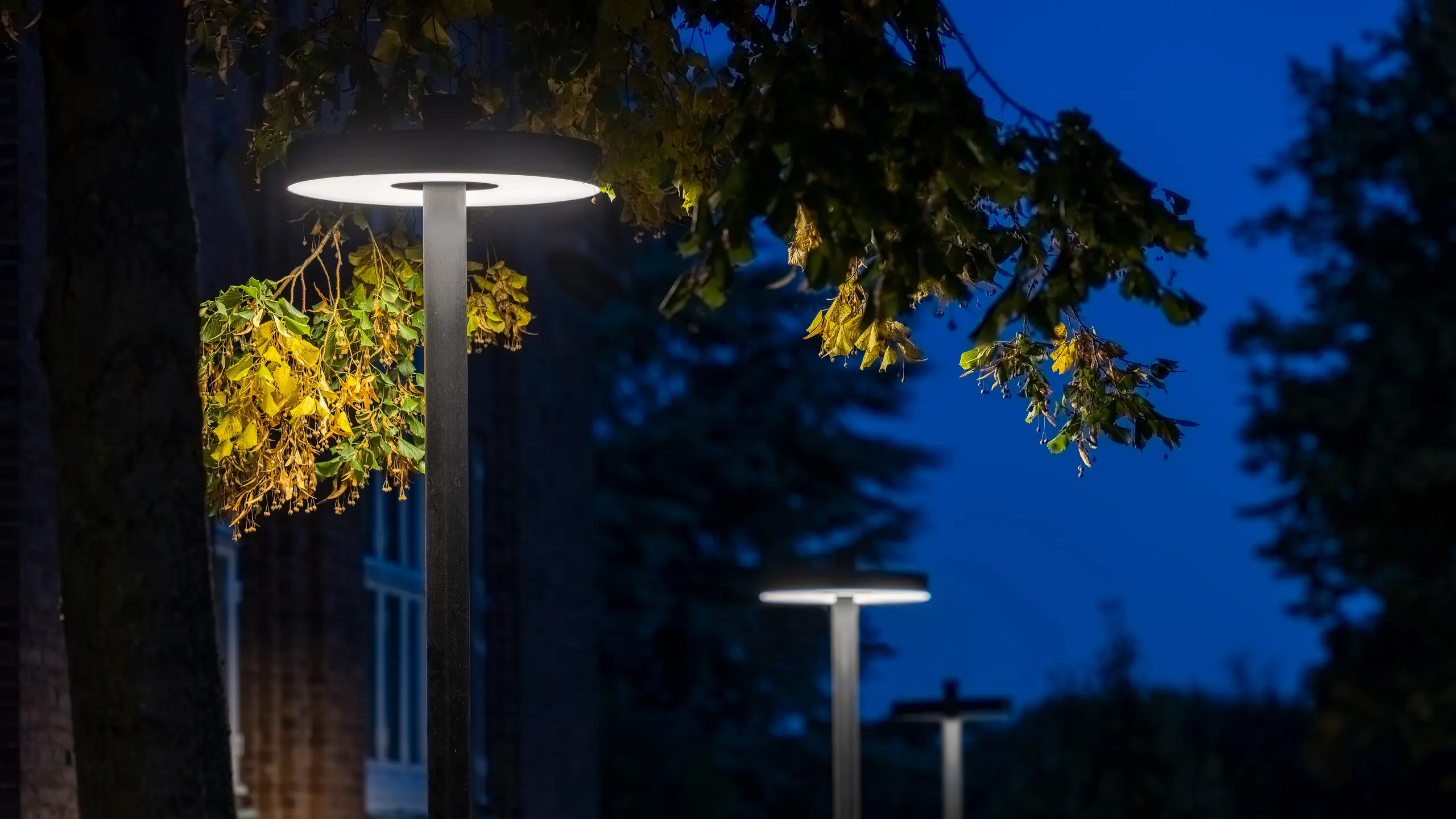 Gatubelysning mellan vägträd med parklampa från Lampas